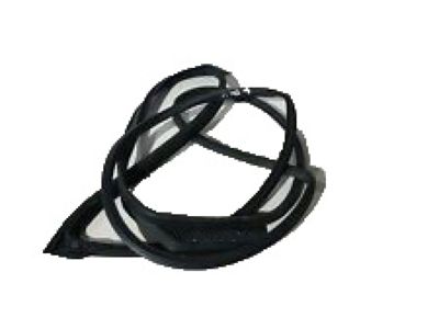 Honda 72310-T1W-A11 Weatherstrip, R FR Door
