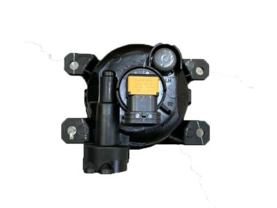 Honda 33951-TY0-305 Foglight Unit, Driver Side (Coo)