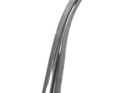 Honda 72310-TLA-A01 Weatherstrip, R. FR. Door