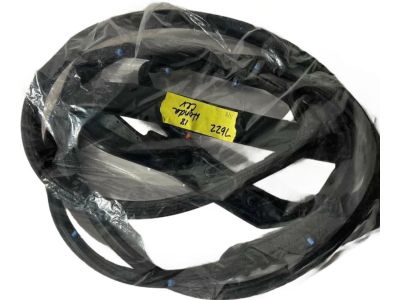 Honda 72310-TLA-A01 Weatherstrip, R. FR. Door