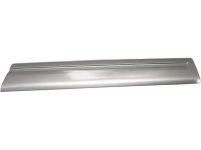 Honda 75302-S9V-A02ZG Protector Assy., R. FR. Door Side *NH689M* (BILLET SILVER METALLIC)