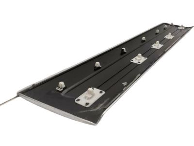 Honda 75302-S9V-A02ZG Protector Assy., R. FR. Door Side *NH689M* (BILLET SILVER METALLIC)