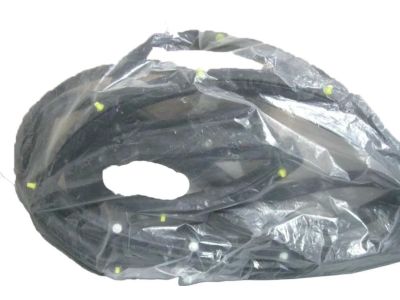 Honda 72850-T2A-A21 Weatherstrip, L. RR. Door