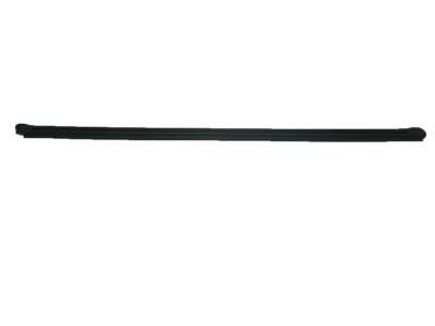 Honda 72375-TBG-A01 Weatherstrip, L. FR. Door (Inner)