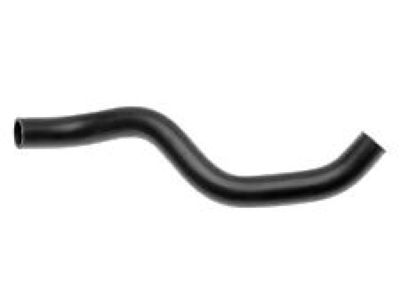 Honda 19502-5K0-A01 Hose, Water (Lower)