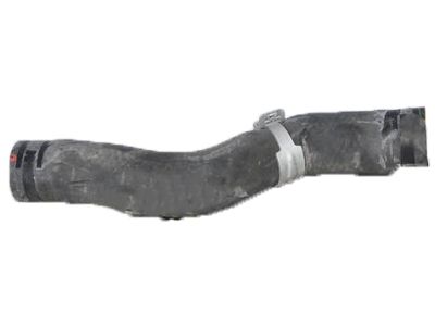 Honda 19501-6A1-H00 Hose, Water (Upper)