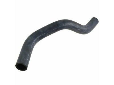 Honda 19502-PLC-000 Hose, Water (Lower)