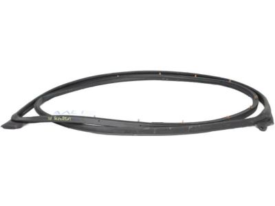 Honda 72350-TXM-A01 WTHSTP, L. FR. DOOR