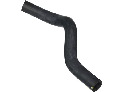 Honda 19502-RNA-A01 Hose, Water (Lower)