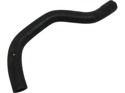 Acura 19501-RW0-A02 Hose, Water (Upper)