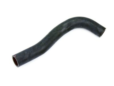 Honda 19502-5R0-000 Hose, Water (Lower)