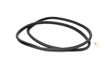 Honda 72850-T43-J01 WEATHERSTRIP, L- RR