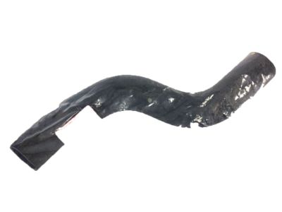 Acura 19507-PR7-A01 Hose, Rear Water (Upper) (Yellow Painted)