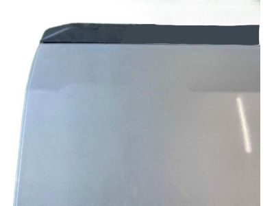 Honda 68100-SJC-A91ZZ Tailgate (DOT)