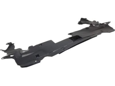 Honda 74111-T1W-A00 Splash Shield, FR