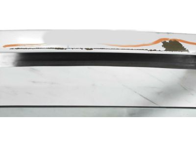 Honda 67050-T5R-A92ZZ Panel Comp, L FR D