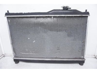 Honda 19010-PCX-003 Radiator (Denso)