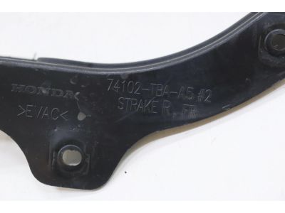 Honda 74102-TBA-A50 STRAKE, R. FR.