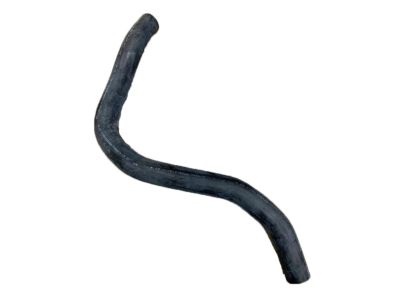 Honda 19502-RV0-A00 Hose, Water (Lower)