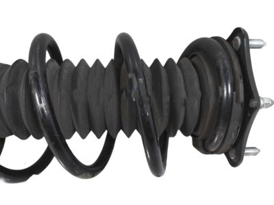 Honda 51406-TLB-A21 Spring Assembly-, Left Front