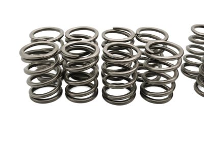 Honda 14761-R44-A01 Spring, In. Valve (Light Green) (Chuo Spring)