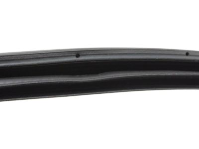 Honda 72315-TBG-A01 Seal, R. FR. Door Opening