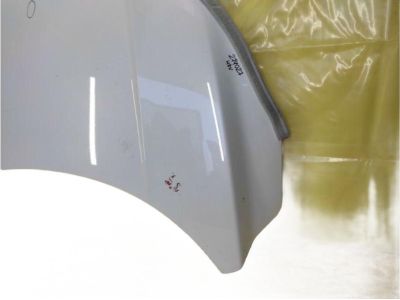 Honda 60100-T7W-A90ZZ Hood, Engine (DOT)