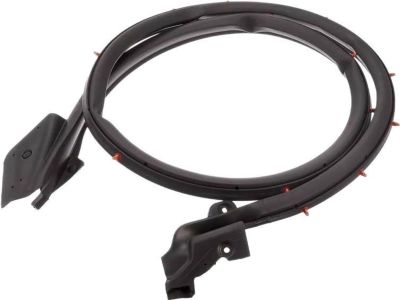Honda 72350-S2A-023 Weatherstrip, L. Door