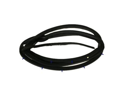 Honda 72350-S84-A01 Weatherstrip, L. FR. Door