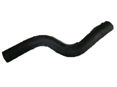 Honda 19501-5R1-000 Hose, Water (Upper)