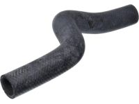 OEM 1998 Honda Accord Hose, Water (Upper) - 19501-PAA-A00