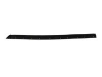 OEM 2012 Honda Ridgeline Seal, L. RR. Door Side Sill - 72867-SJC-A02