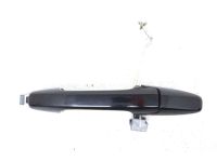 OEM 2009 Honda Civic Handle Assembly, Passenger Side Door (Outer) (Crystal Black Pearl) - 72140-SNE-A11ZW