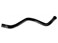 OEM 2000 Honda Civic Hose, Water (Lower) - 19502-P30-000