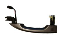 OEM 2019 Honda Accord Handle, Right Front (Modern Steel Metallic) (Smart) - 72141-TVA-A81ZG