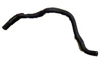 OEM 2020 Honda Civic Hose B, Exp Tank O - 19109-5BA-A00