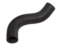 OEM 2002 Honda CR-V Hose, Water (Lower) - 19502-PNB-000