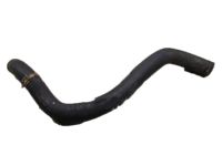 OEM Acura TSX Hose, Water (Lower) - 19502-R70-A00