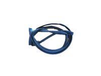 OEM 2006 Honda Odyssey Sub-Seal, R. FR. Door - 72325-SHJ-A01
