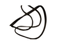 OEM 1993 Honda Accord Weatherstrip, R. FR. Door - 72310-SM4-023