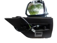 OEM 1999 Honda Odyssey Mirror Assembly, Passenger Side Door (Dark Emerald Pearl) (R.C.) - 76200-S0X-A02ZB