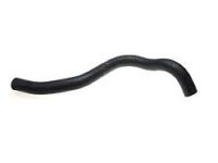 OEM 2003 Honda Odyssey Hose, Water (Lower) - 19502-P8F-A00