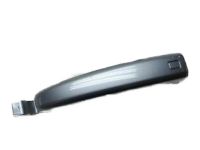 OEM 2008 Honda Odyssey Handle Assembly, Driver Side Slide Door (Outer) (Nimbus Gray Metallic) - 72680-SHJ-A11ZK