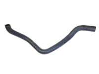 OEM 1996 Honda Civic Hose, Water (Lower) - 19502-P2A-000