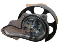 OEM 2005 Acura TSX Water Pump - 19200-RAA-A01