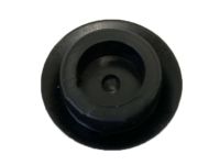 OEM 2004 Honda Pilot Plug, Blind (20MM) - 95550-20000