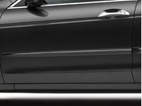 OEM 2010 Honda Accord Body Side Molding (Bold Beige Metallic-exterior) - 08P05-TA0-191