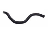 OEM 2009 Honda Odyssey Hose, Water (Lower) - 19502-RGW-A00