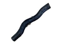 OEM Honda Odyssey Hose, Water (Upper) - 19501-RV0-A00