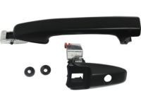OEM 2008 Honda Civic Handle Assembly, Driver Side Door (Outer) (Galaxy Gray Metallic) - 72180-SNA-A11ZF
